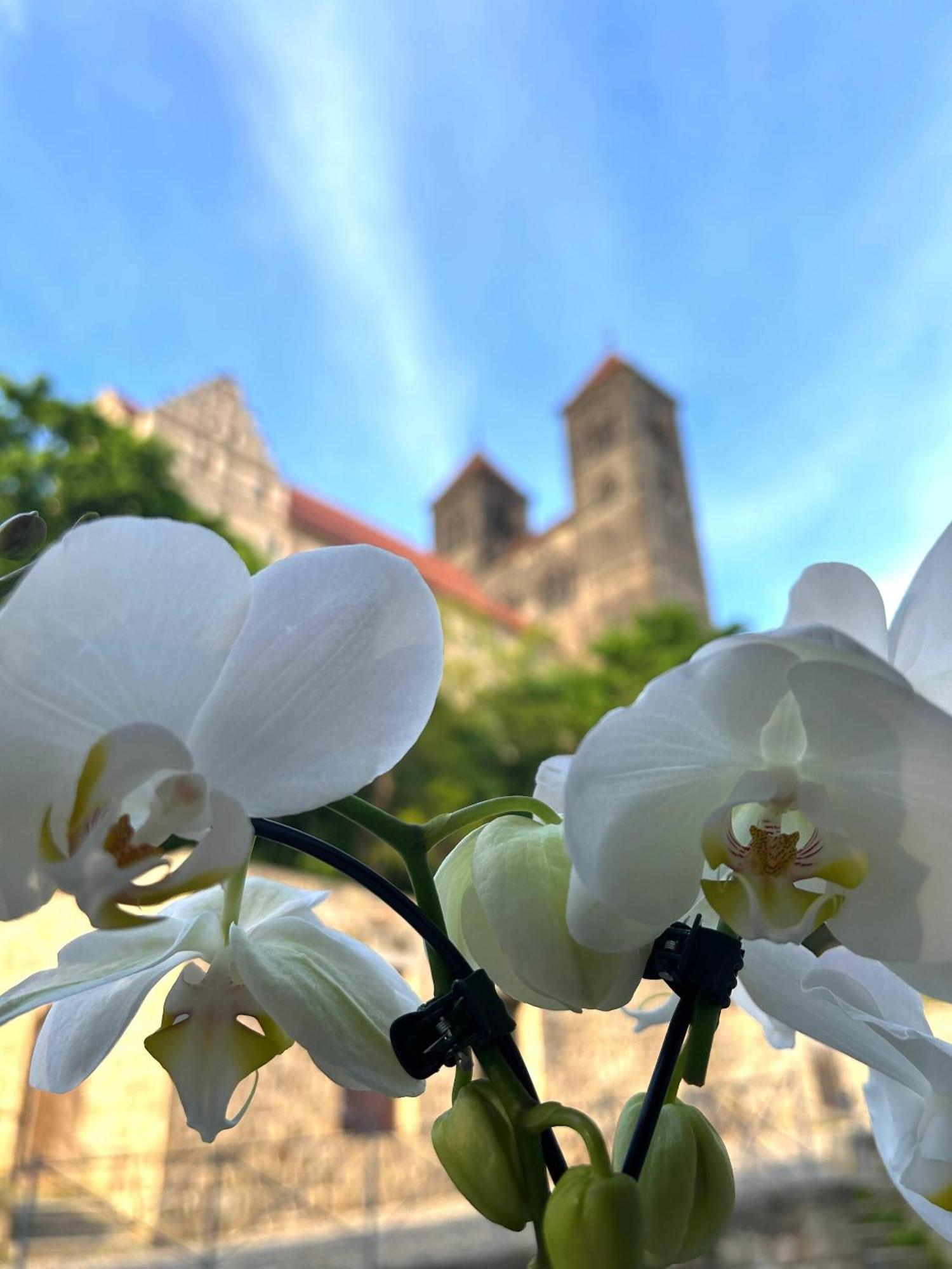 Hotel Domschatz Quedlinburg Bagian luar foto